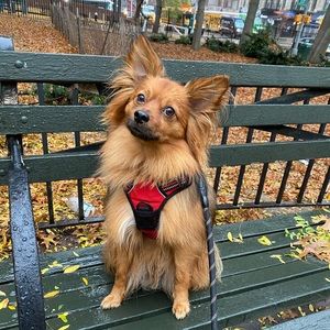 Meet your Posher, Lindsay